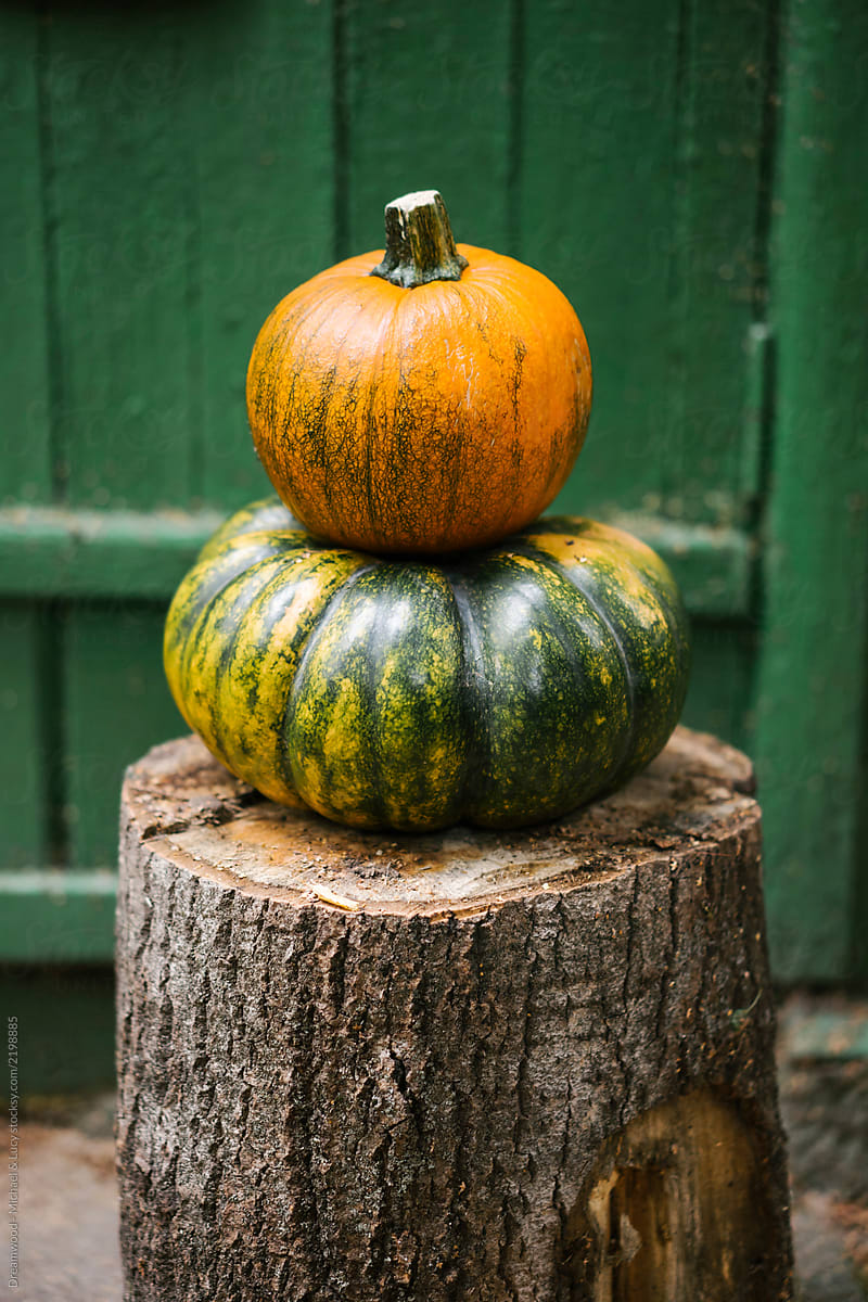Composed stack of pumpkins on stub