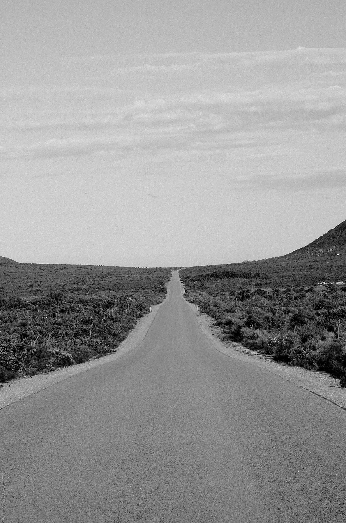 Long Straight Road in a National Park