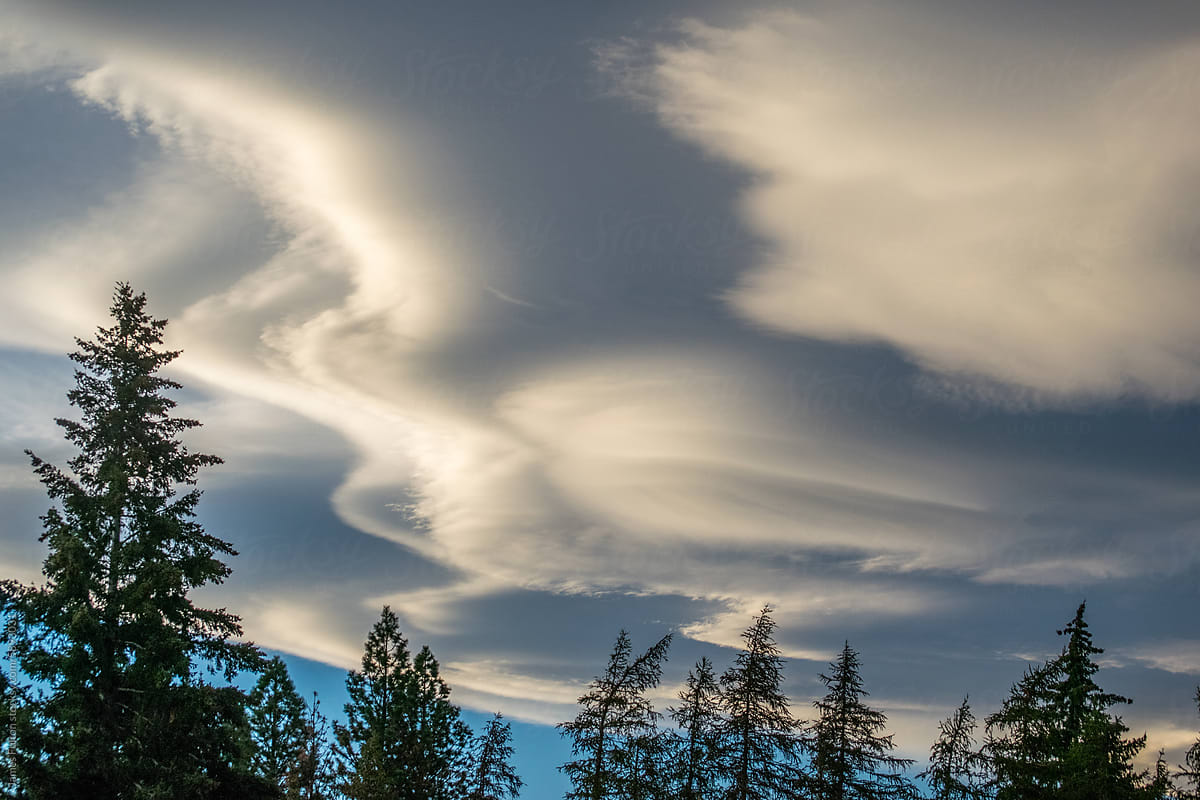 Unique cloud formations- Lenticular clouds with pine trees silhouetted