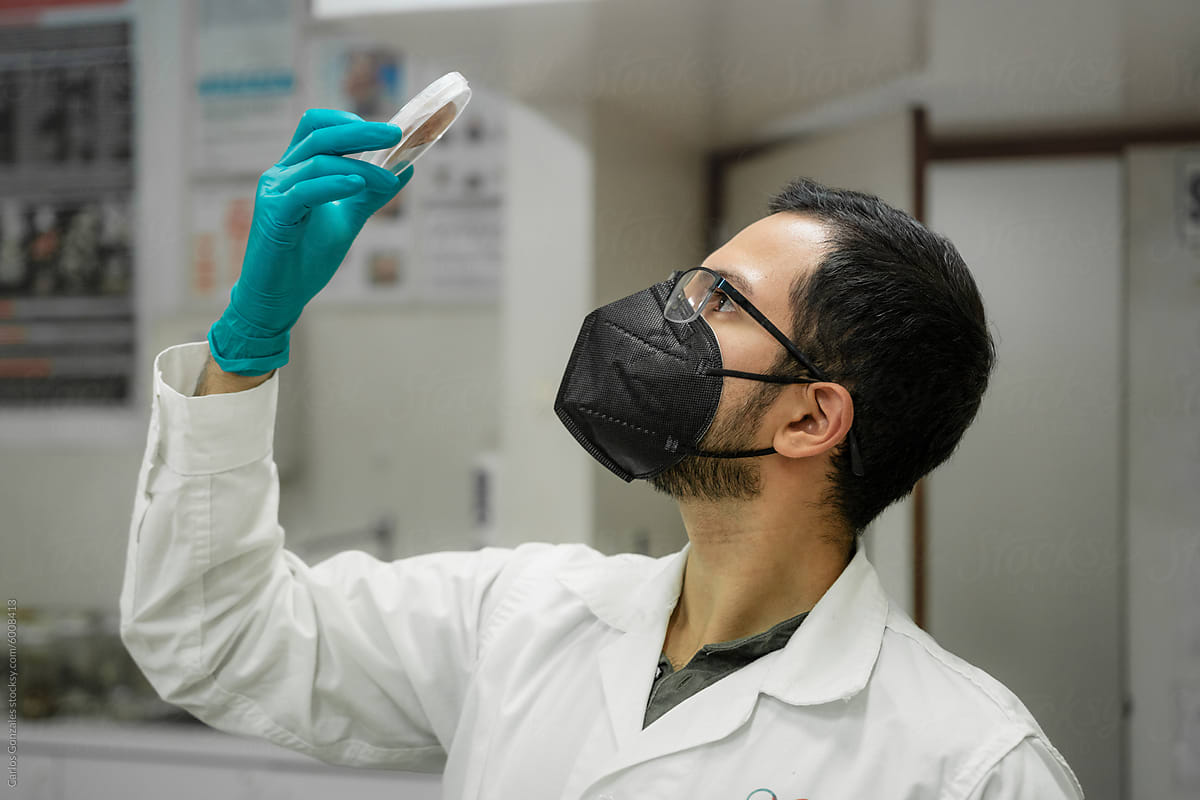 Scientist analyzing a fungi sample in a petri dish