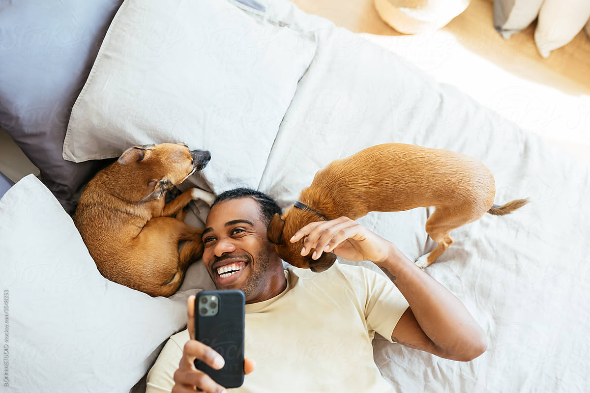 Laughing owner with pet dogs taking selfie in bedroom