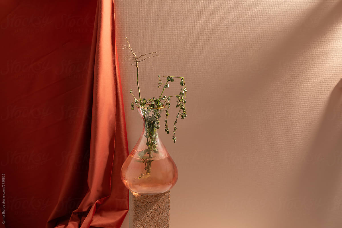 Pink Vase and Sunlight Still Life