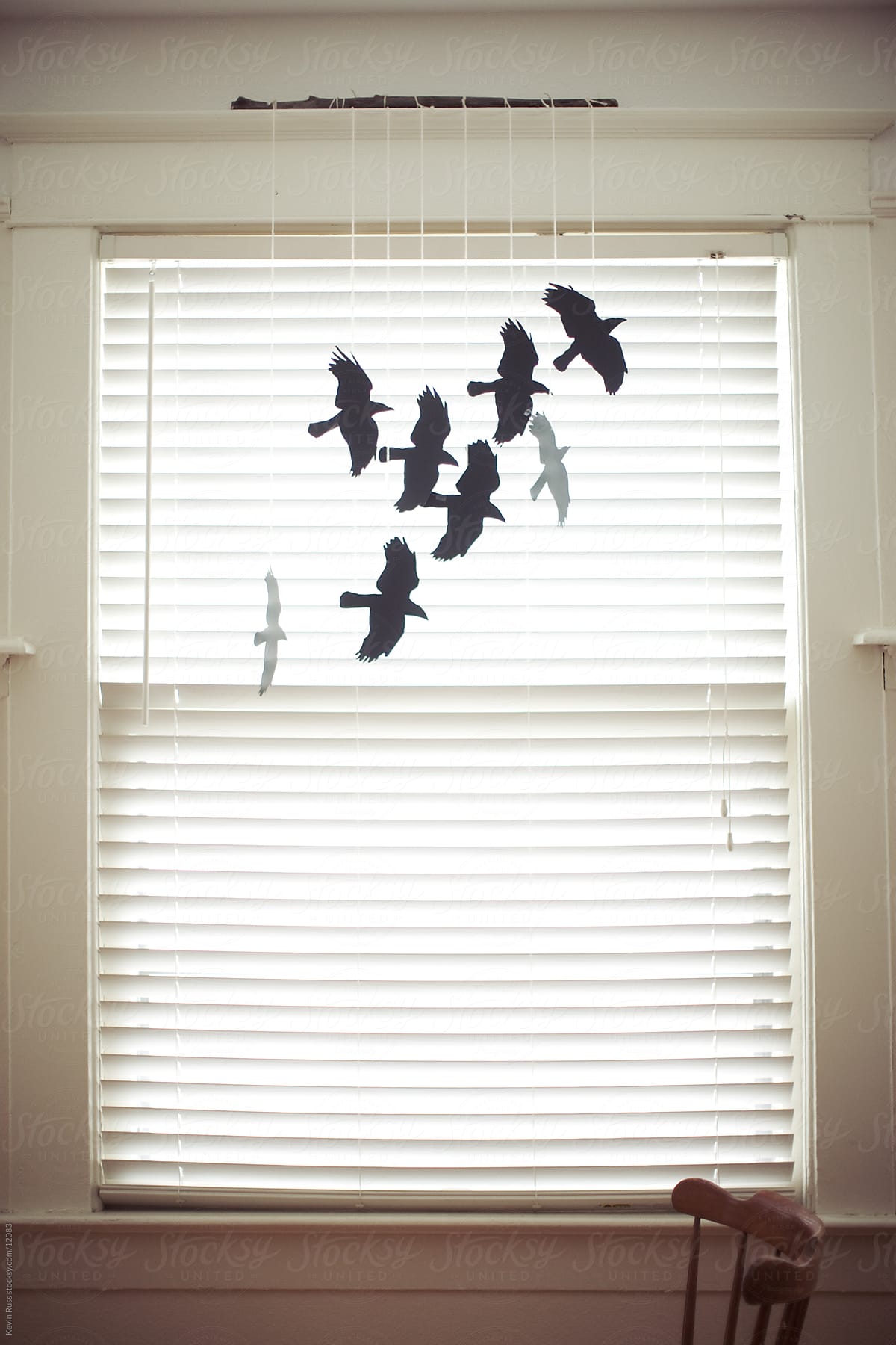 Raven Window