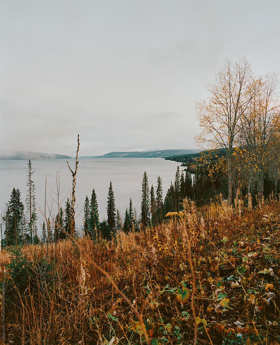 Autumn Landscape in Sweden