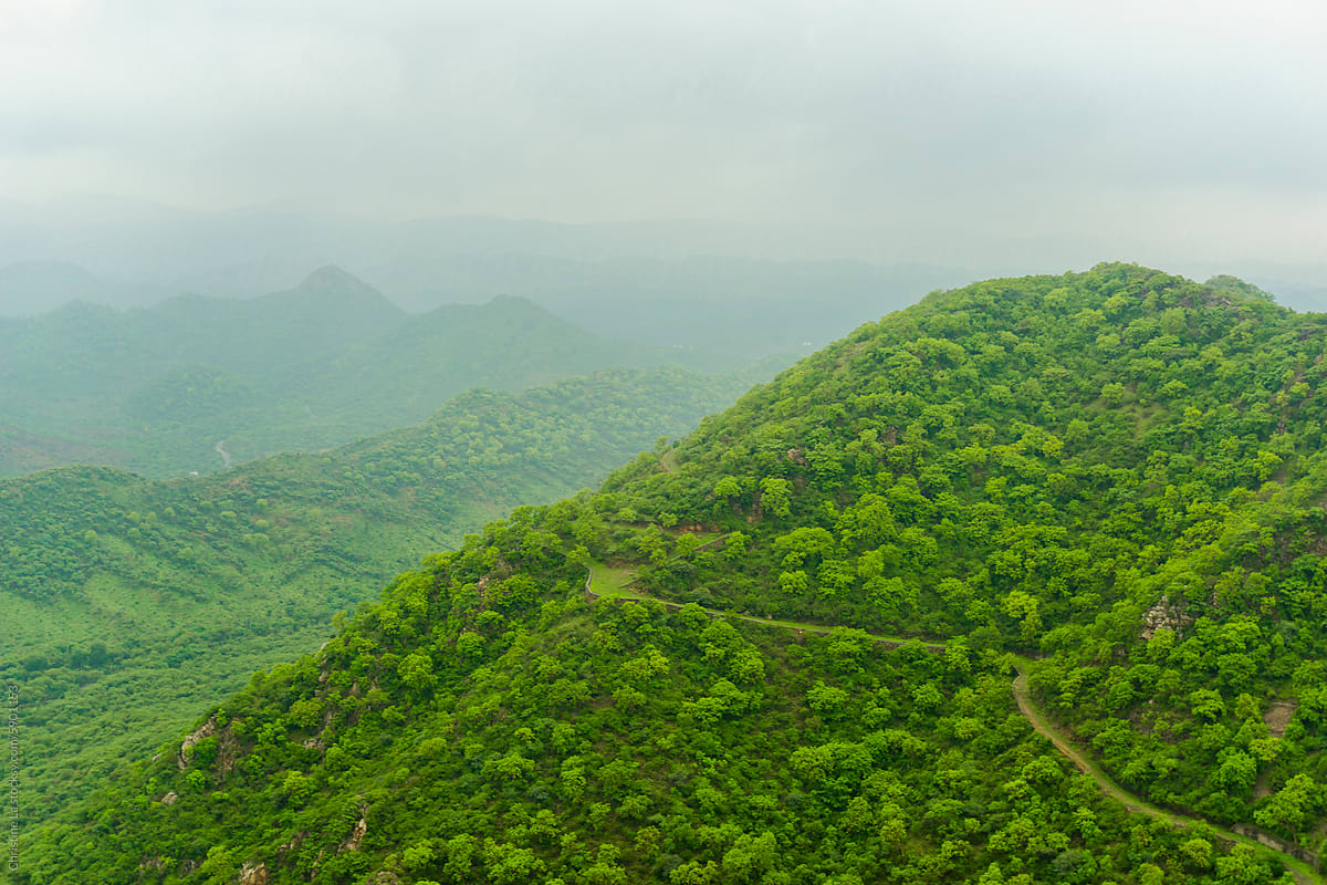 Green landscape in Udaipur, Rajasthan, India