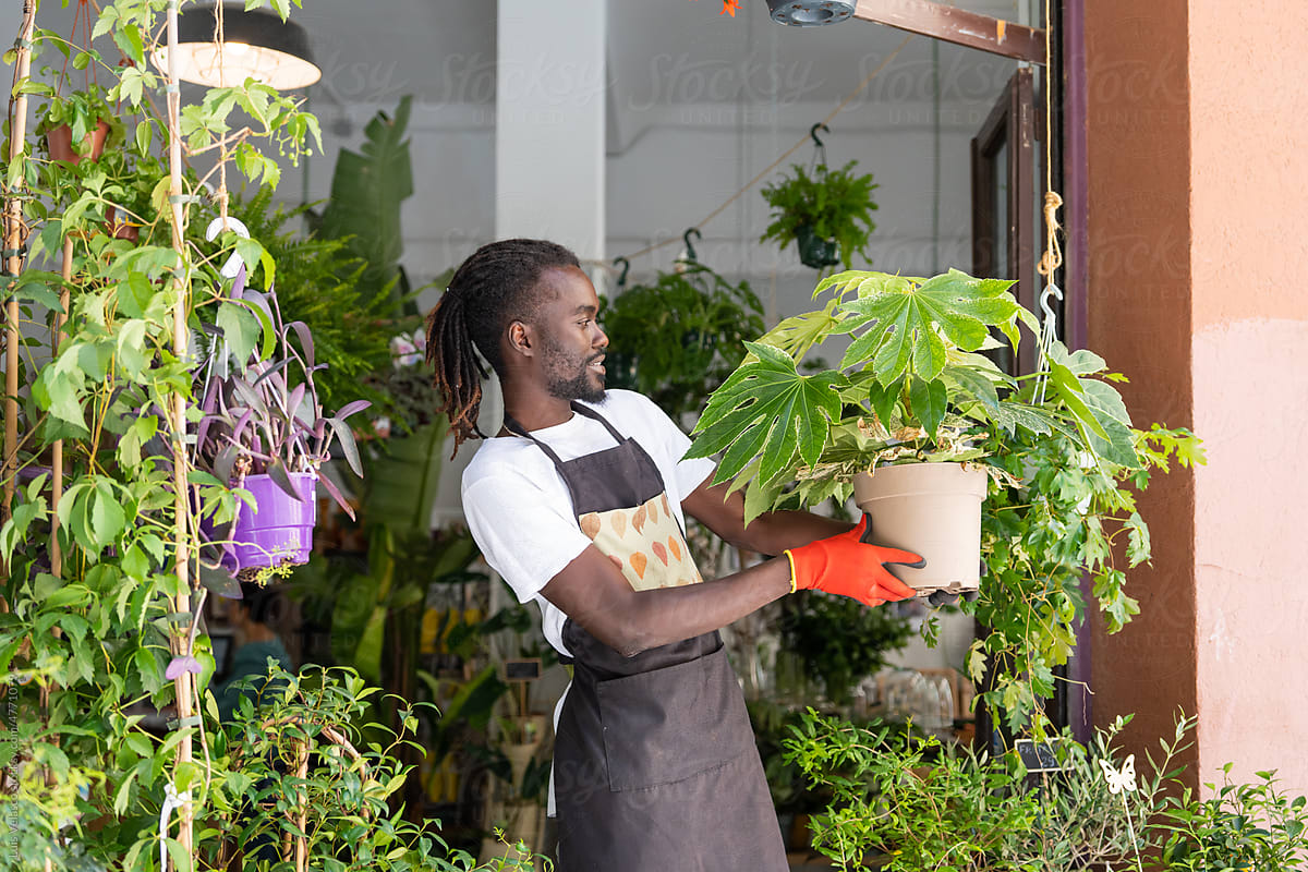 Black Man Working In A Plants Store.
