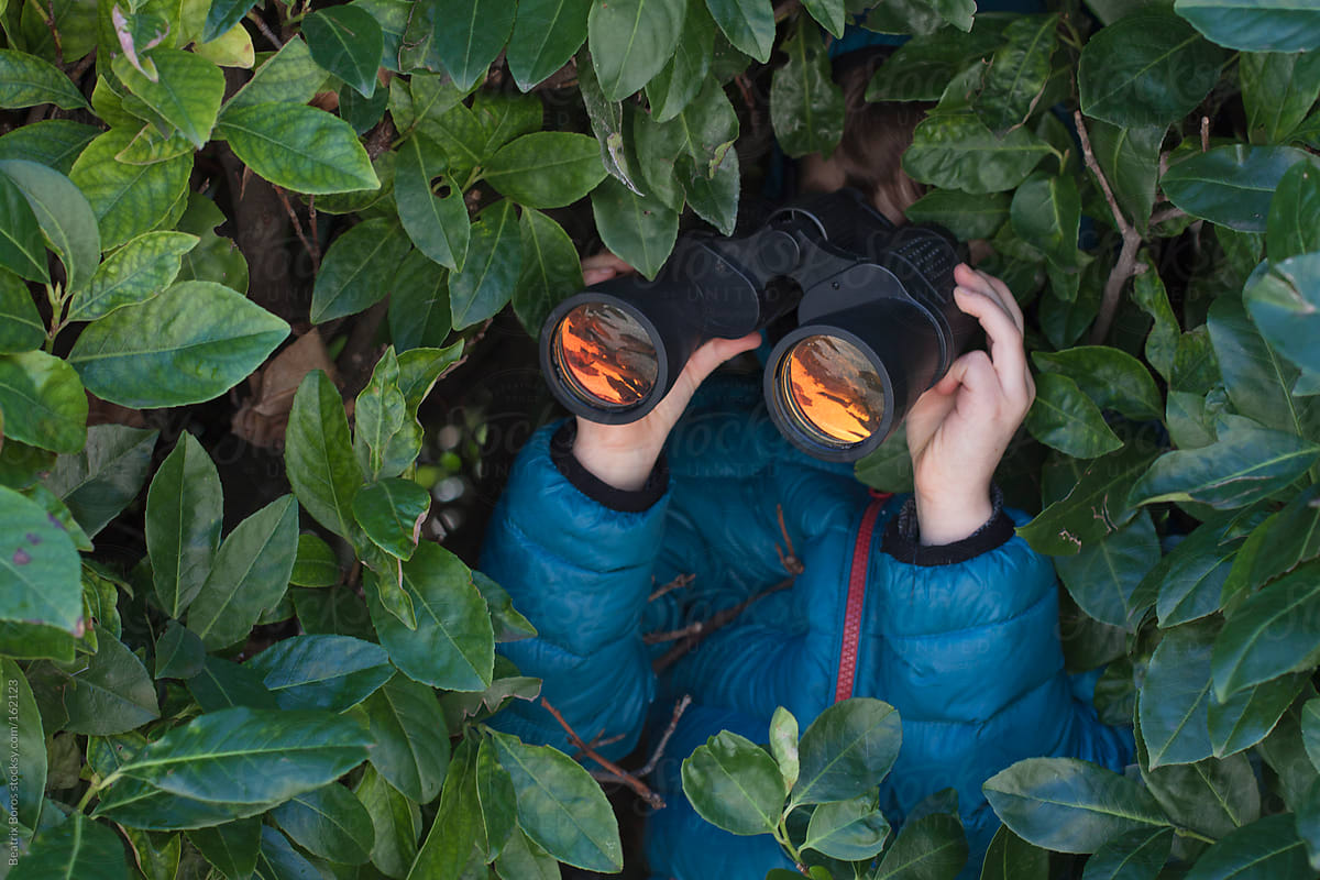 Boy Hiding In The Bush, Watching Birds With Telescope by ...
