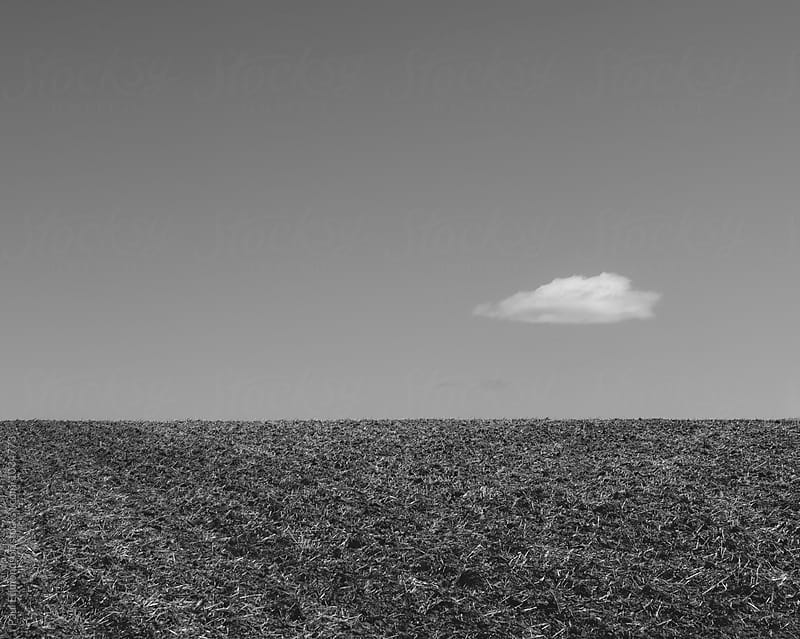 Fallow farmland and small cloud on horizon, Oregon