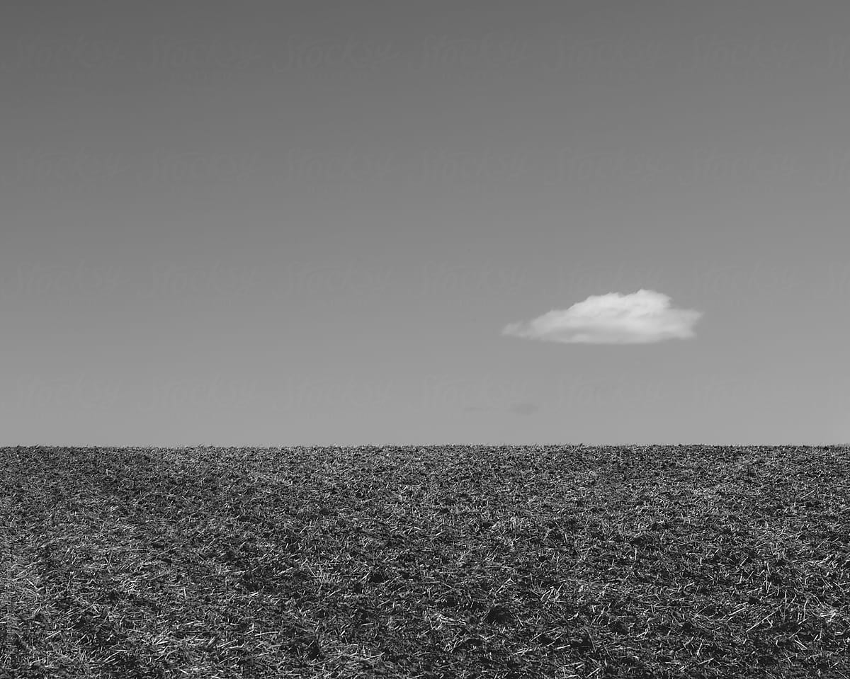 Fallow farmland and small cloud on horizon, Oregon