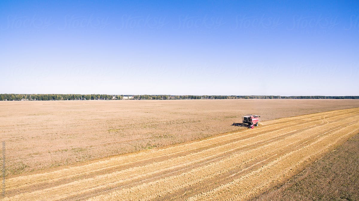 Aerial view of combine working on sunny field