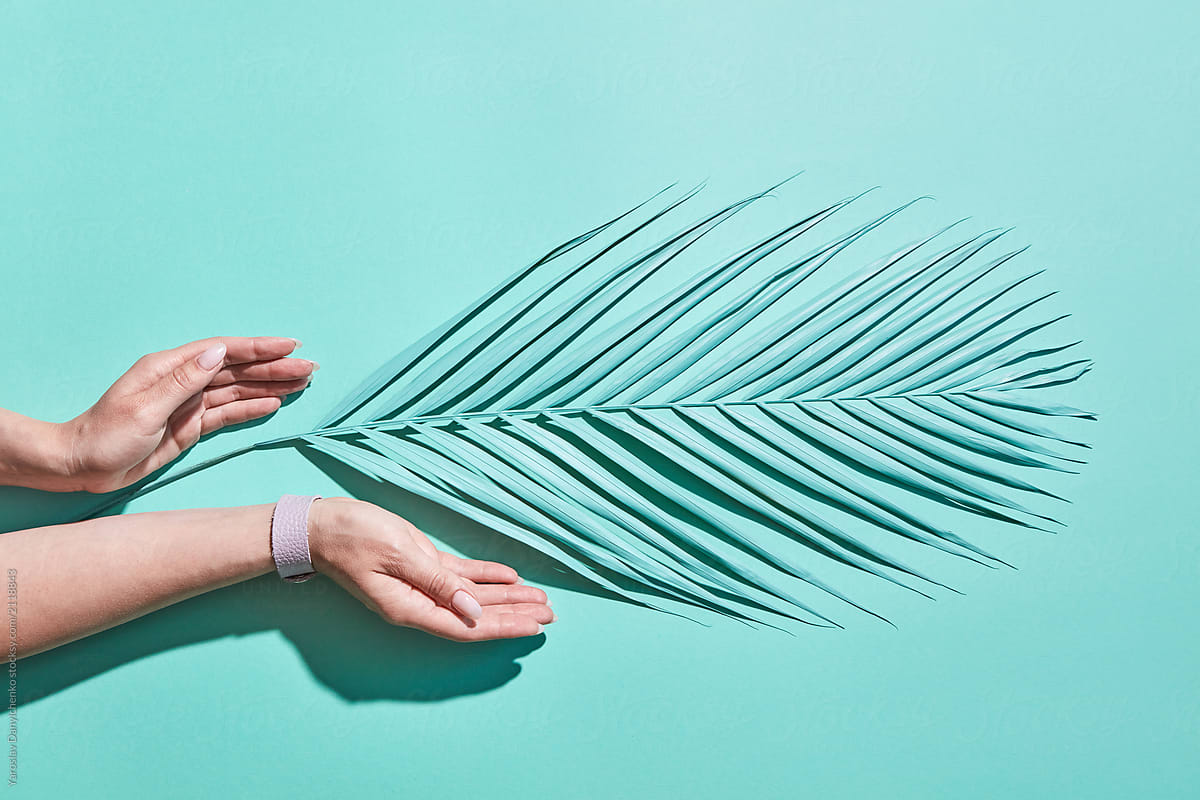 Palm leaf and female hands on a blue background with copy space.