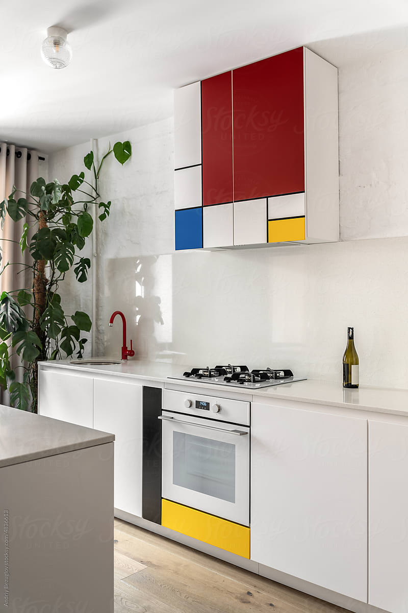 White contemporary kitchen with plants and modern decor