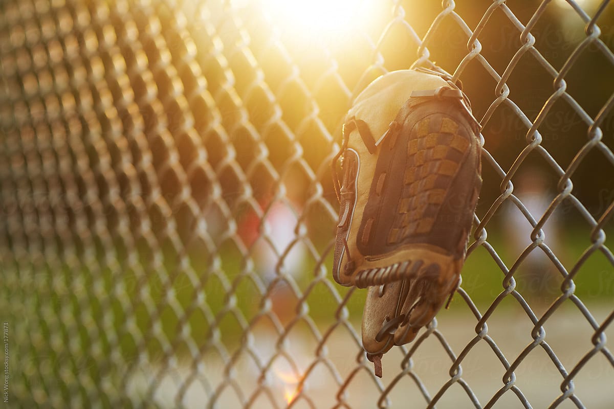 Baseball Glove hanging off Chain-link Fence during summer game.