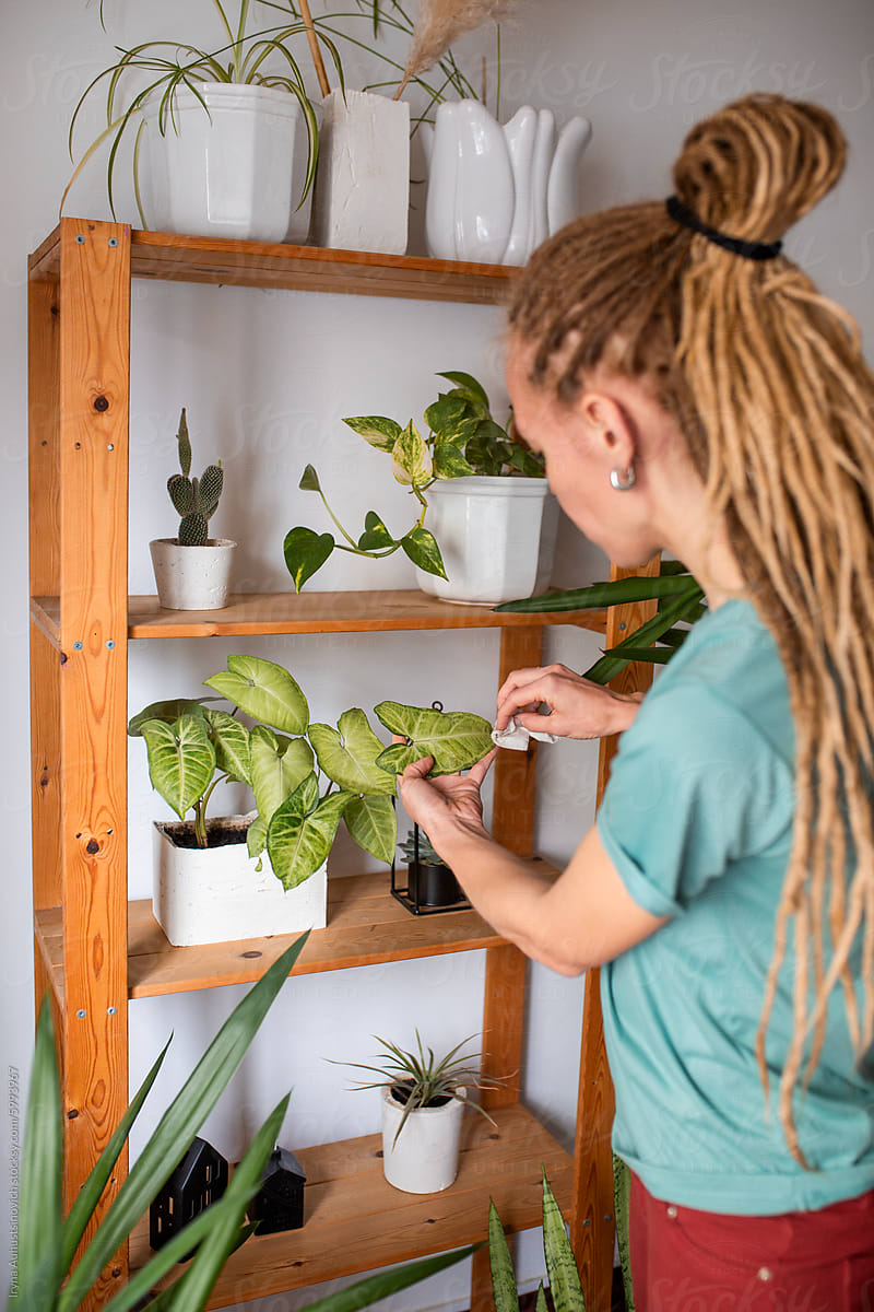 europenian woman take care about home plants