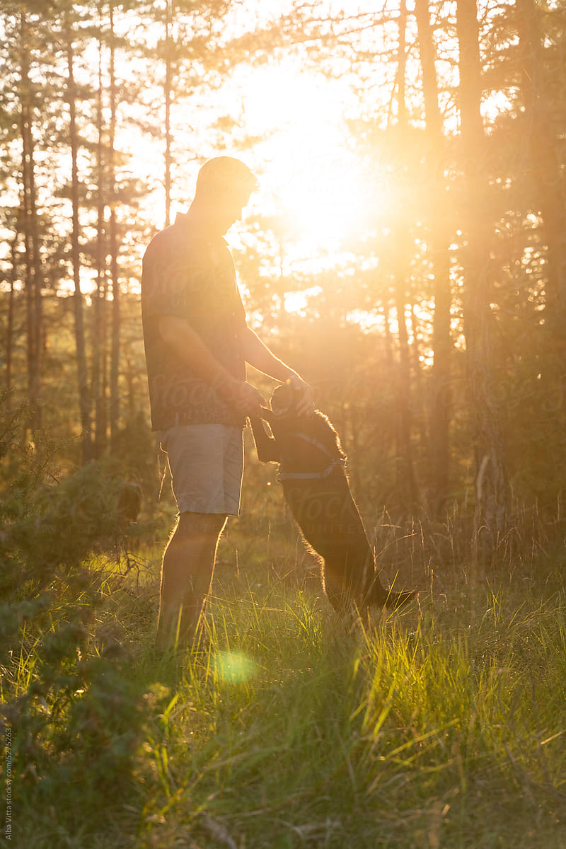 Man and dog at sunset in nature