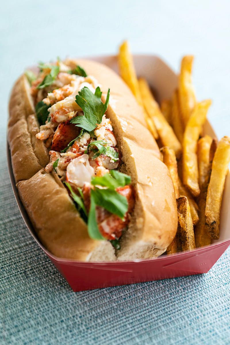 Delicious Summertime Lobster Roll With Fries