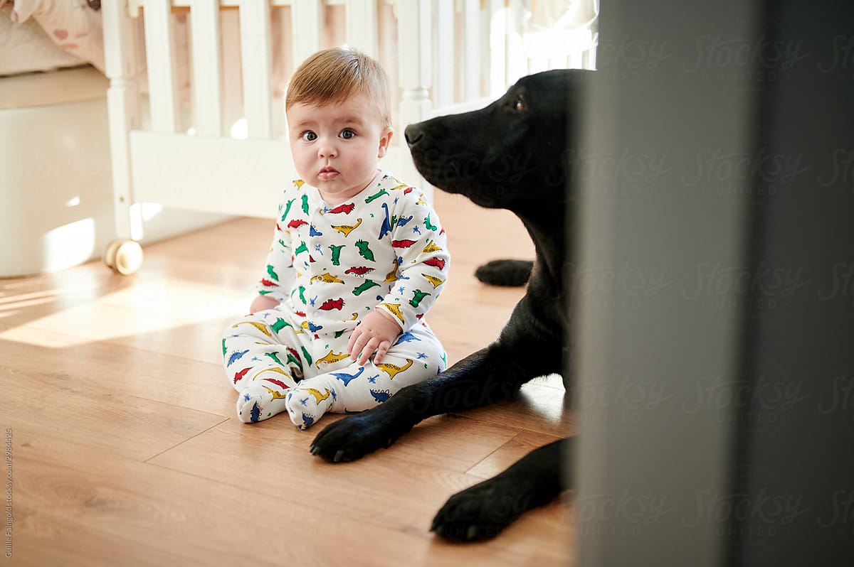 Baby and pet on floor at home