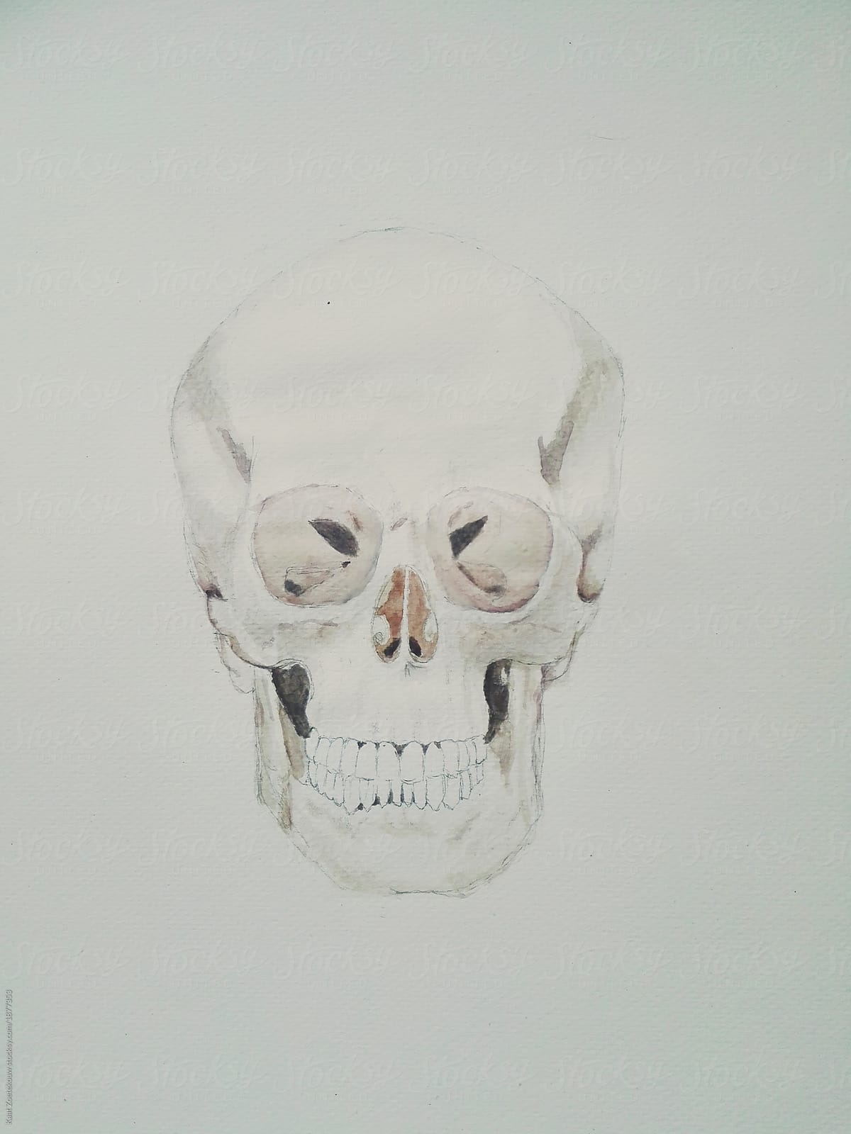 Skull watercolor in progress