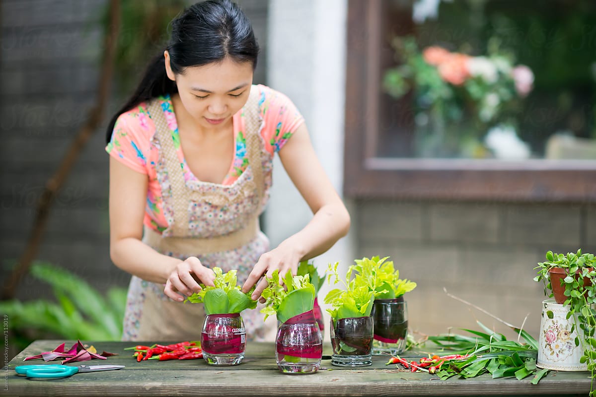 Woman cutting plants for flower arrangement decoration