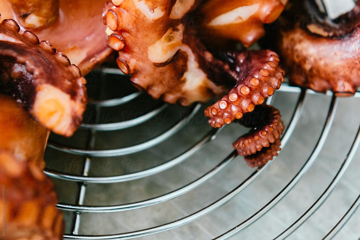 Cooked octopus on drying rack