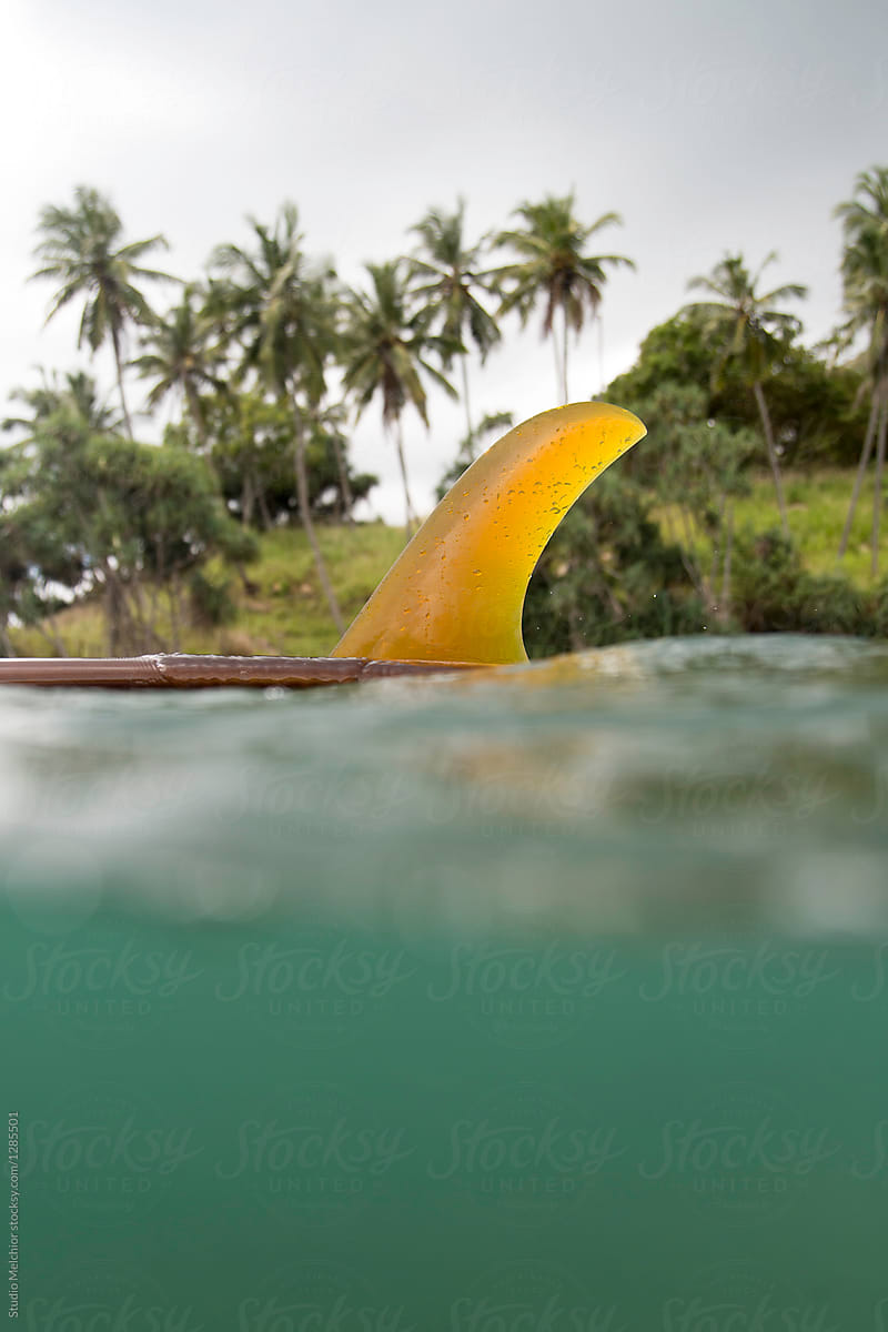 Surfboard fin in the tropics