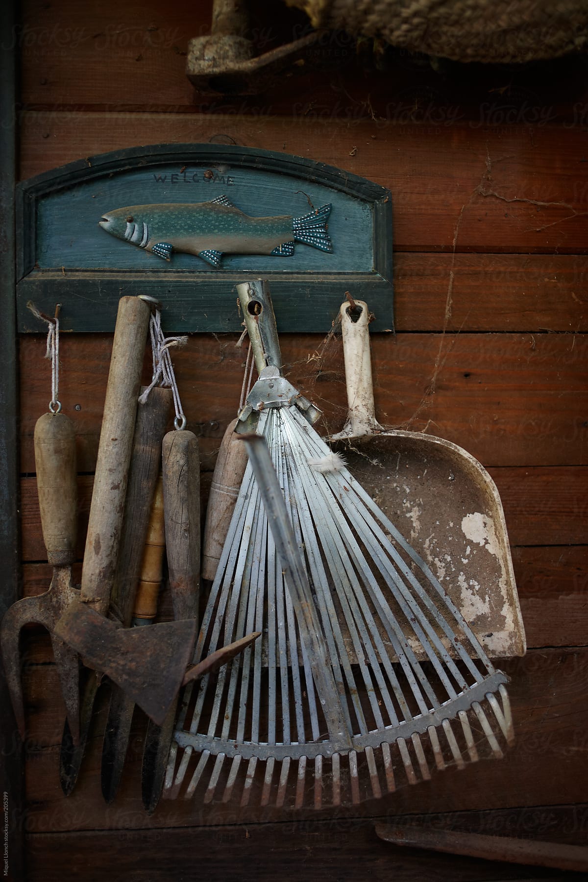 Old gardening tools hanging on a wood wall