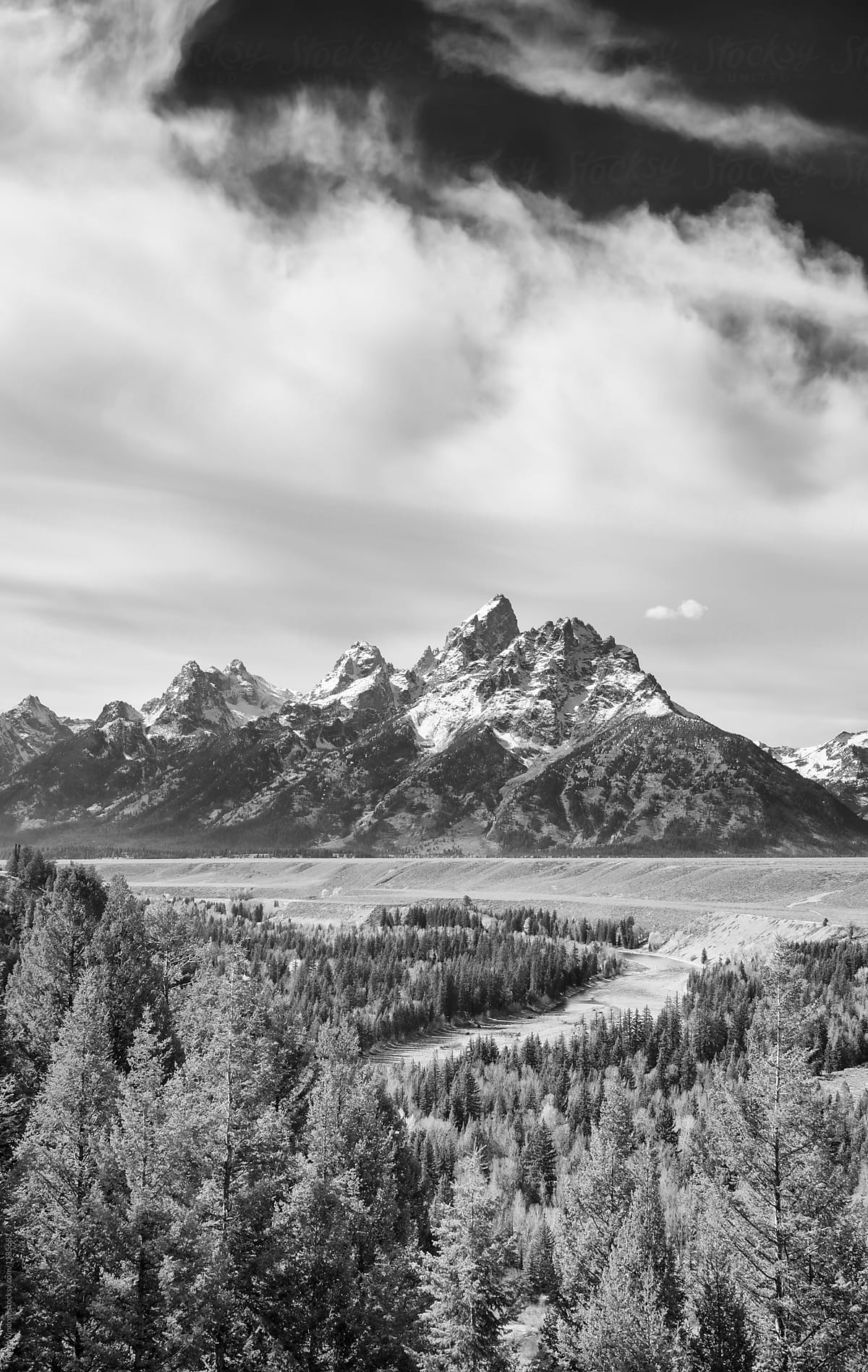 Snake River Overlook in black and white