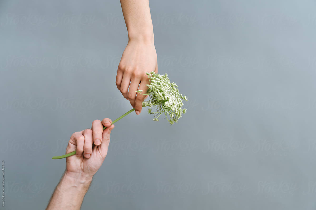 People pass flower to each other.