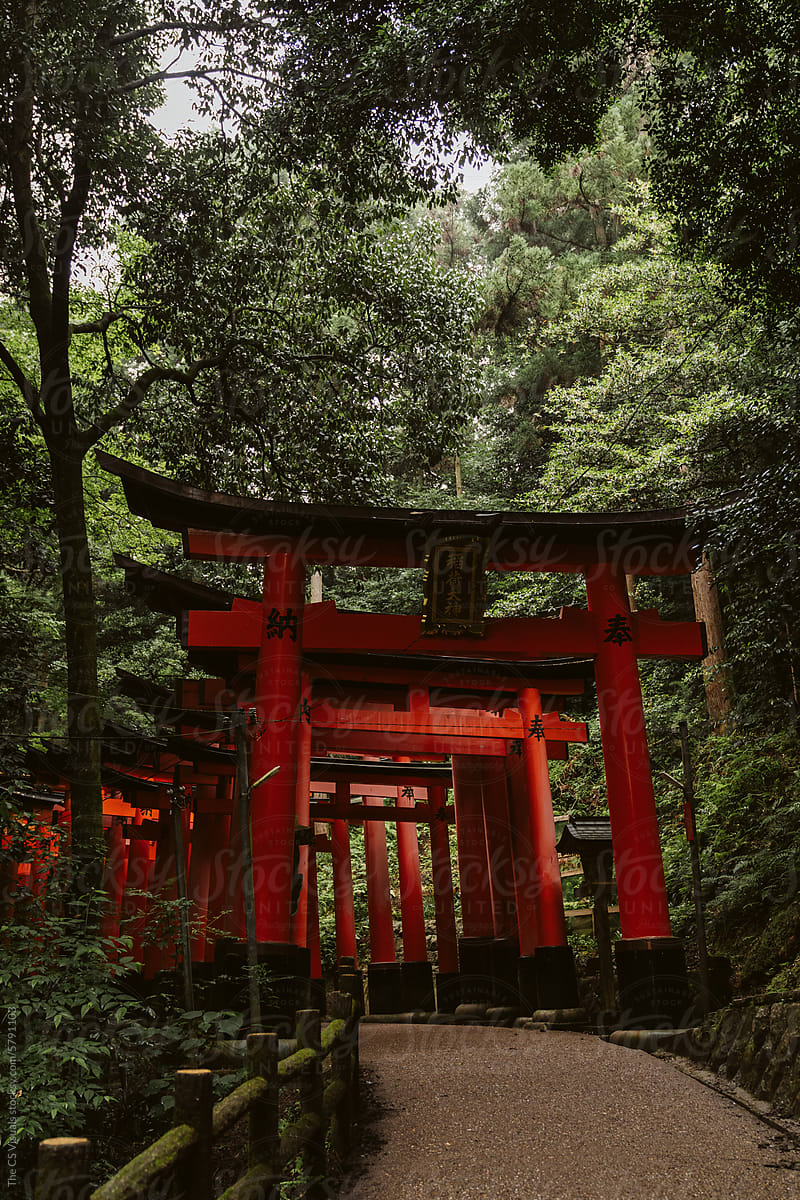 Japan Hiking Trail