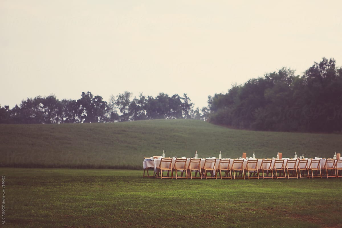 Dinner Table In A Beautiful Summer Field