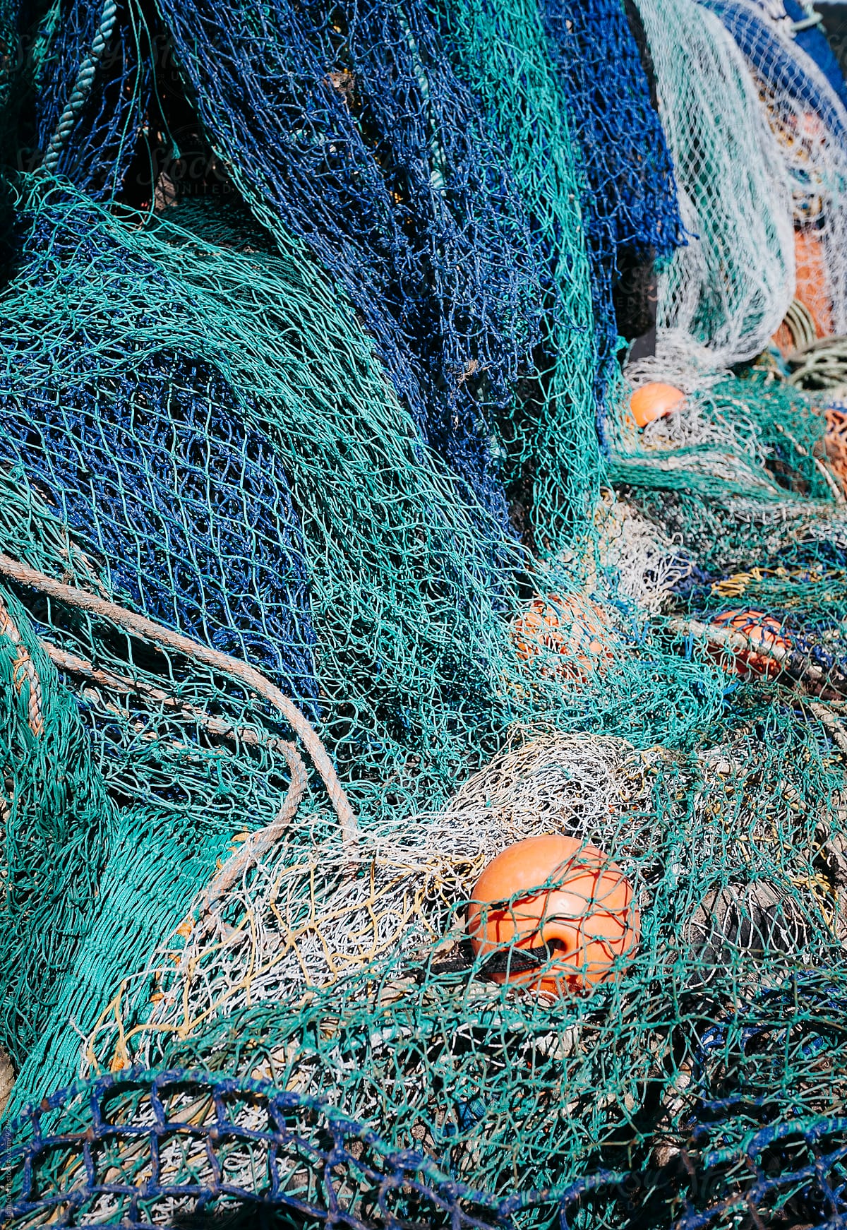 Fishing nets in the Harbour at Lyme Regis. Devon, UK.