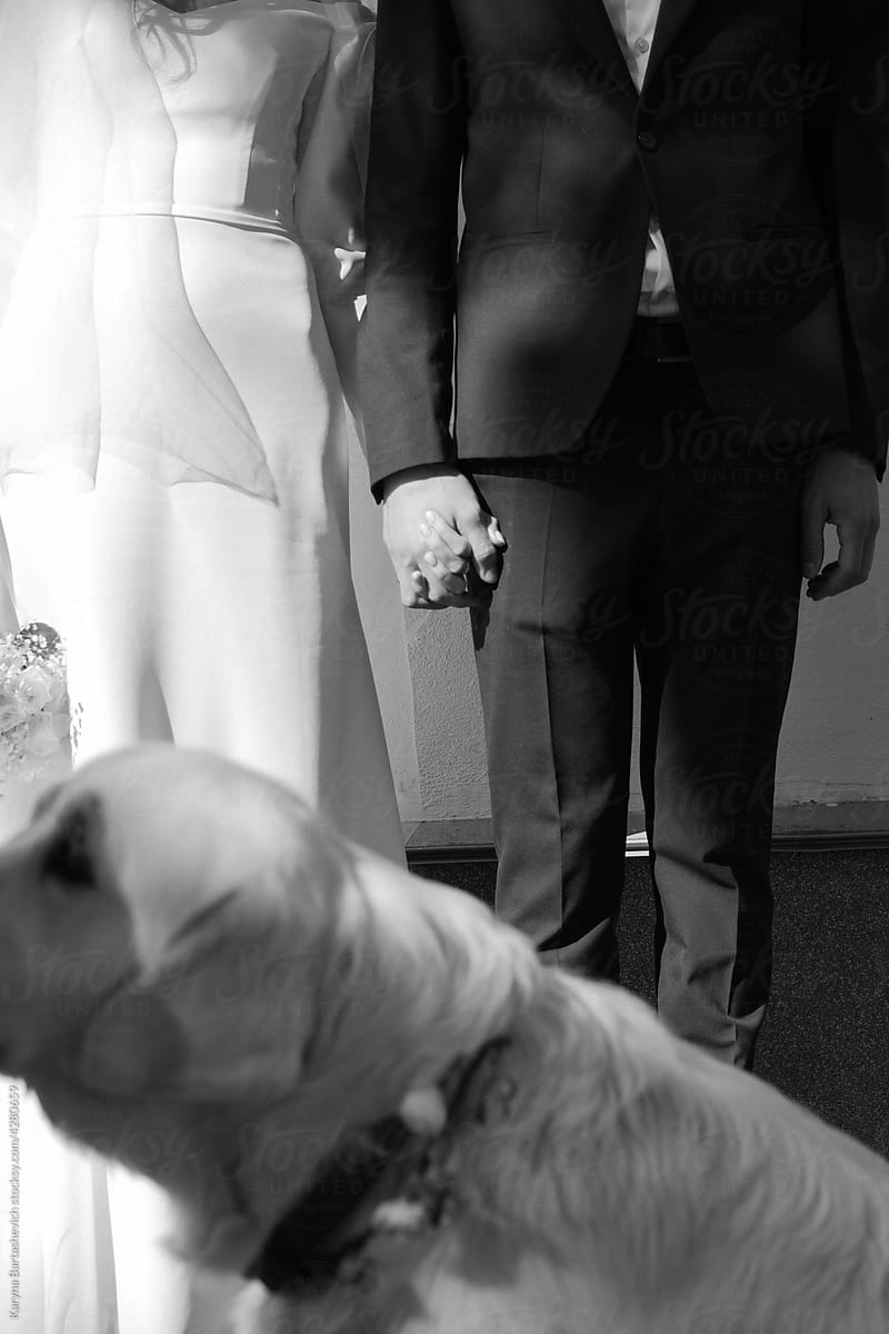 bride and groom with a dog