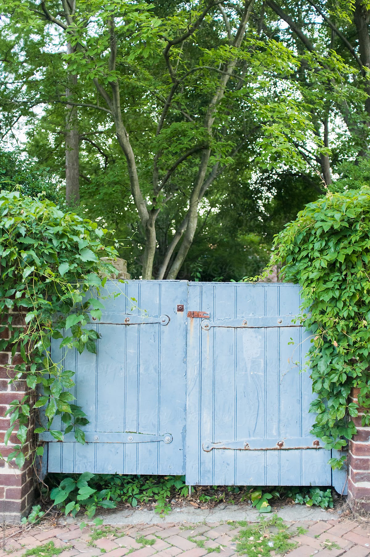 Blue painted garden gate.