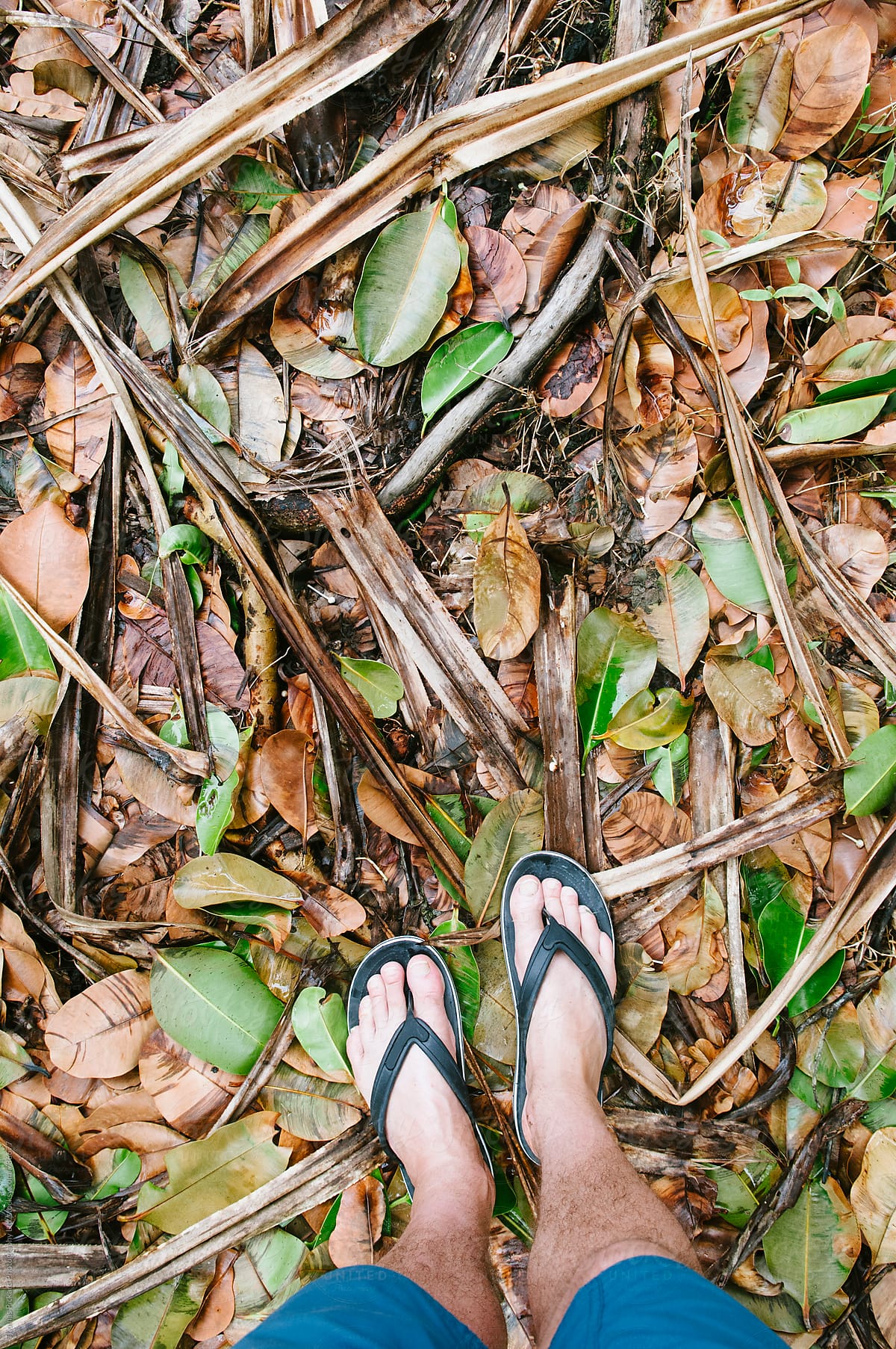 Feet, flip flops and leaves, Samoa.
