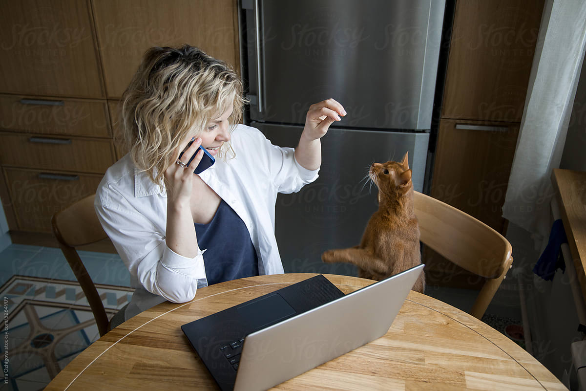 Working woman with a cat at home