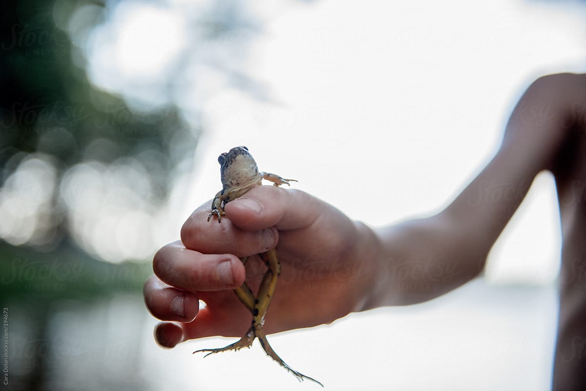 Child holds out a frog he just caught in a pond