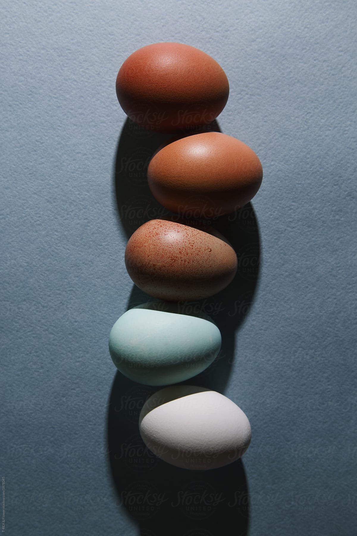 Different painted eggs in row