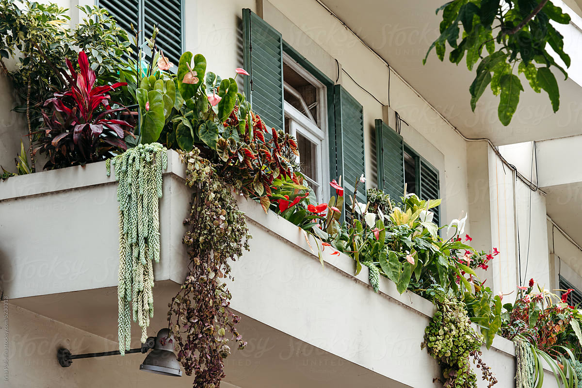 Beautiful balcony with lots of flowering plants.