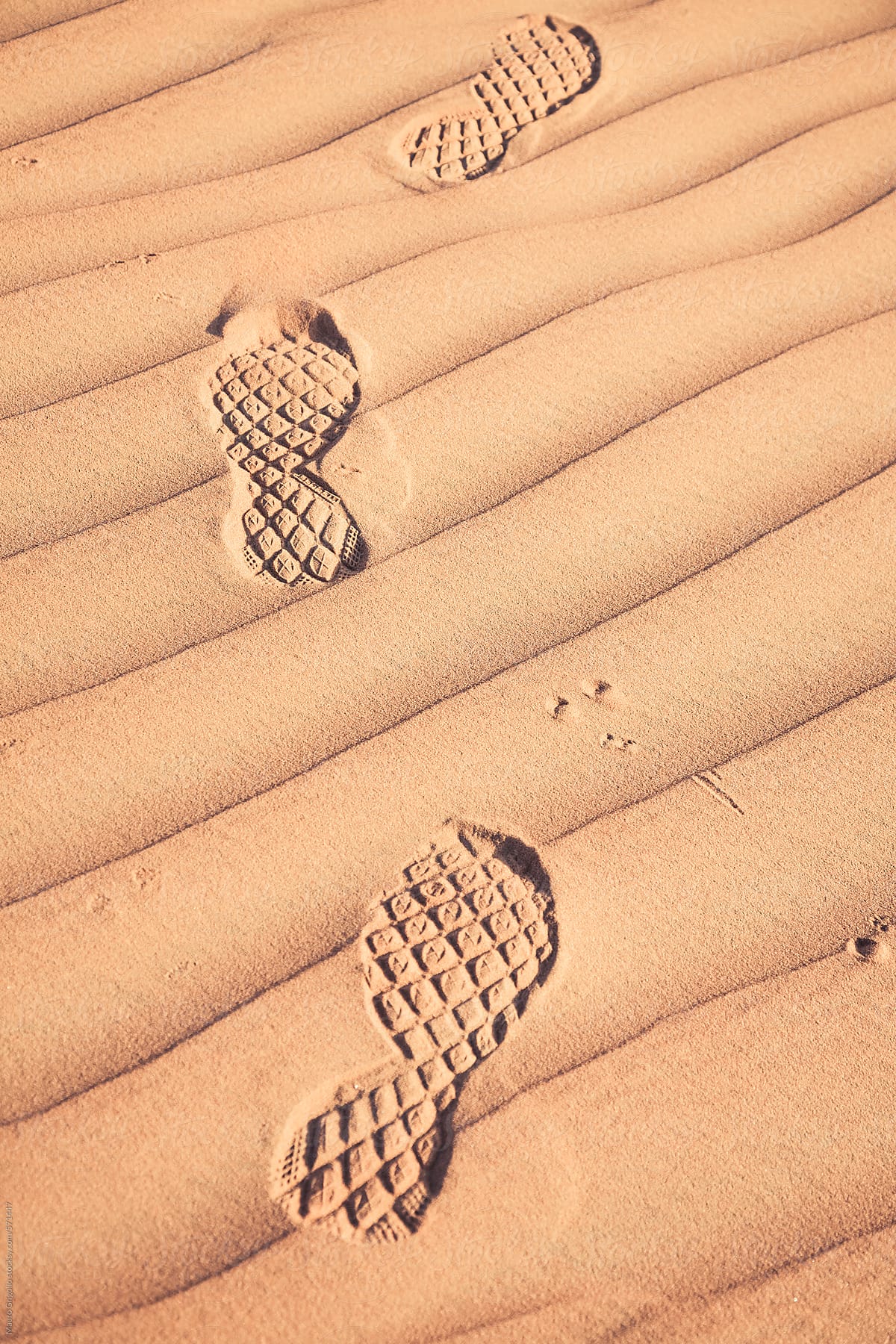 Footprints on sand in the desert.