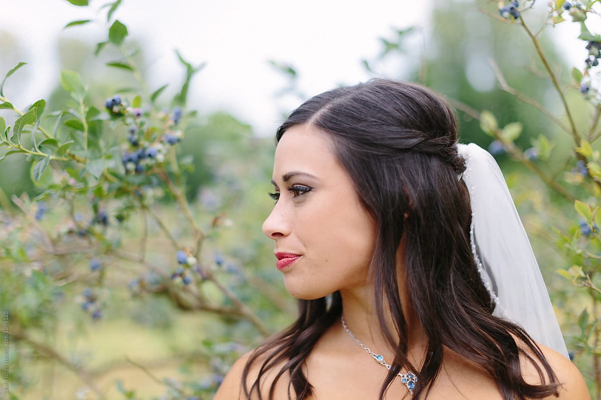 Bride Standing in Blueberry Field