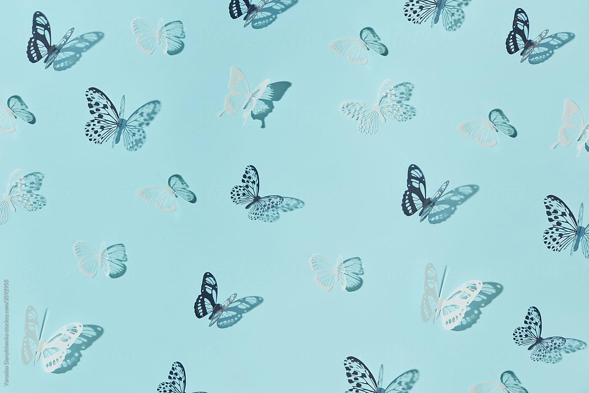 Paper butterflies on blue
