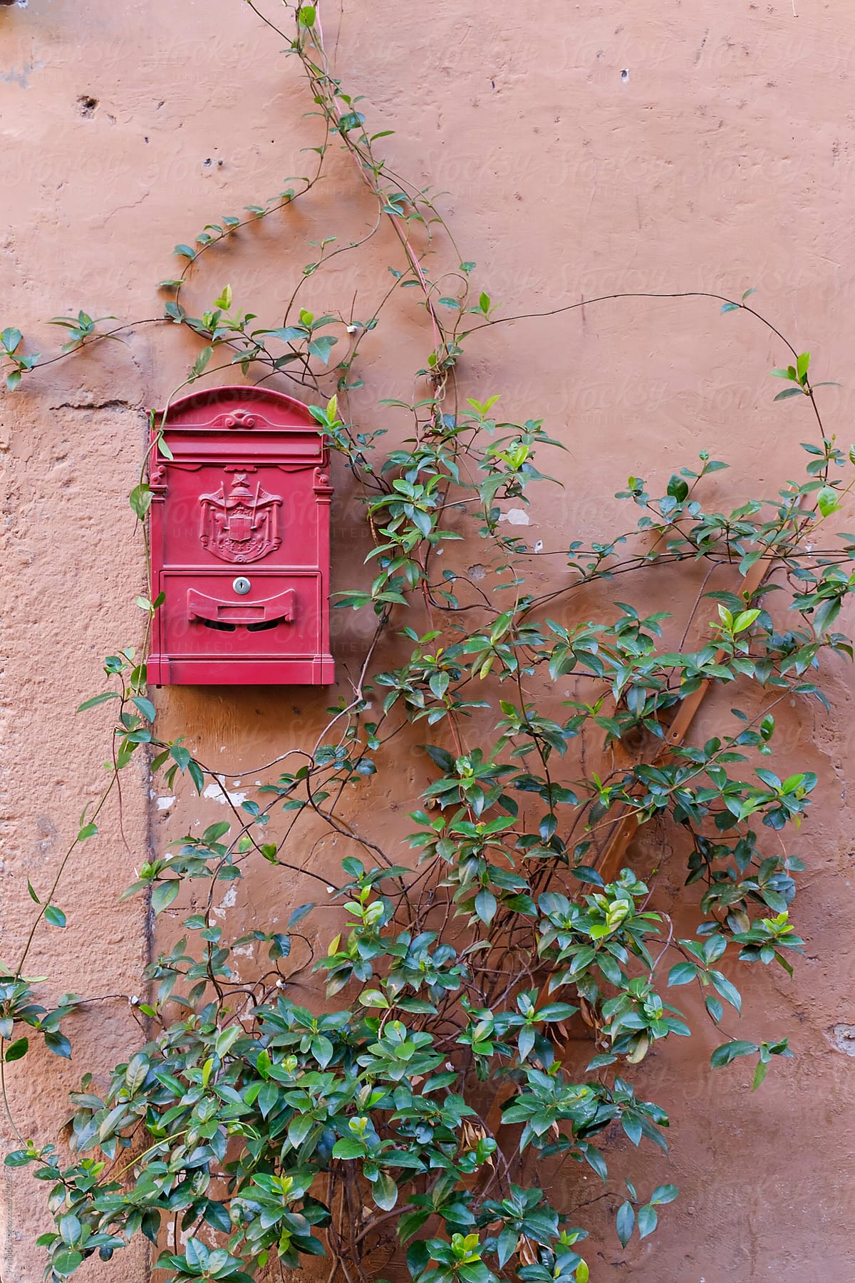 Pink wall mounted mailbox surrounded by green vine