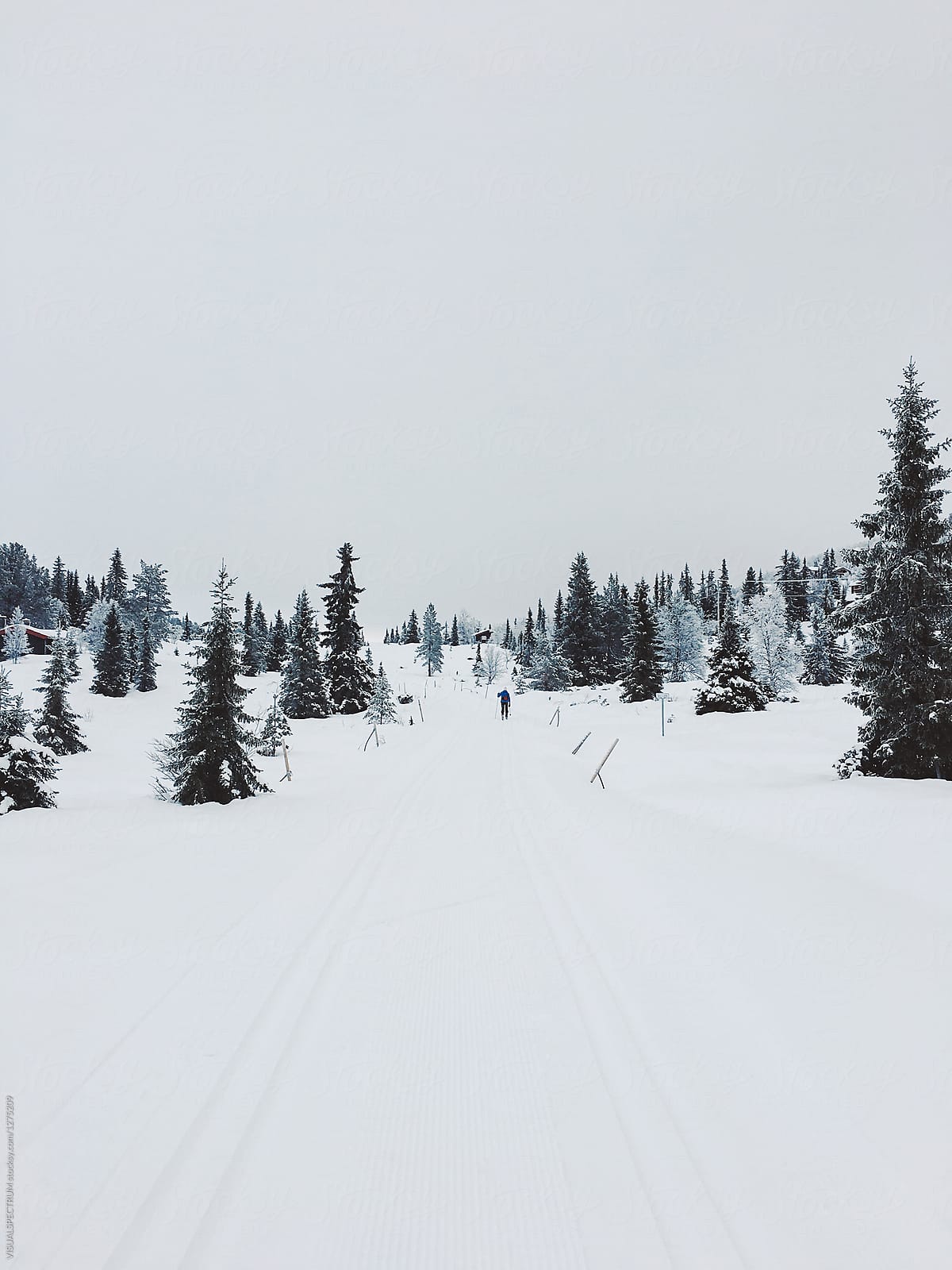 Cross-country Skier in White Norwegian Winter Landscape