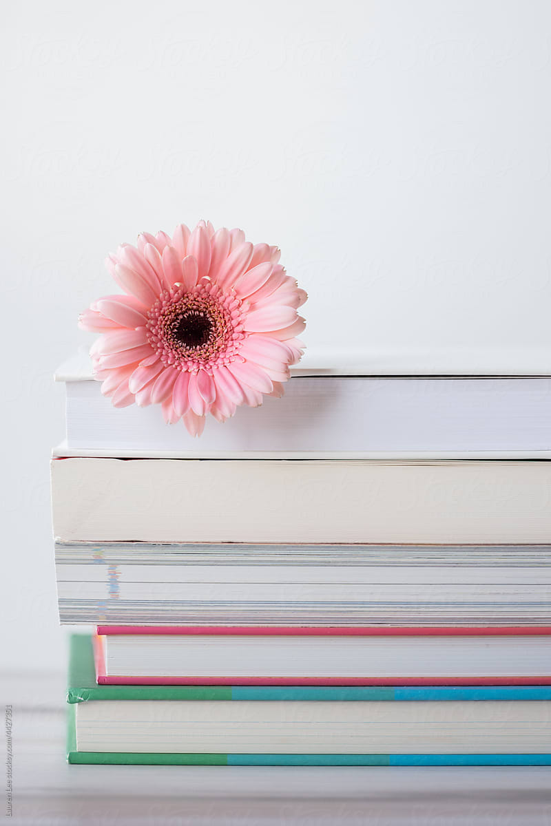 Pink flower on stack of books