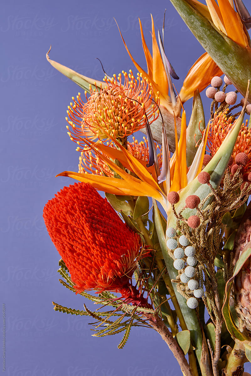 Floristic arrangement of colorful exotic bloomings in studio