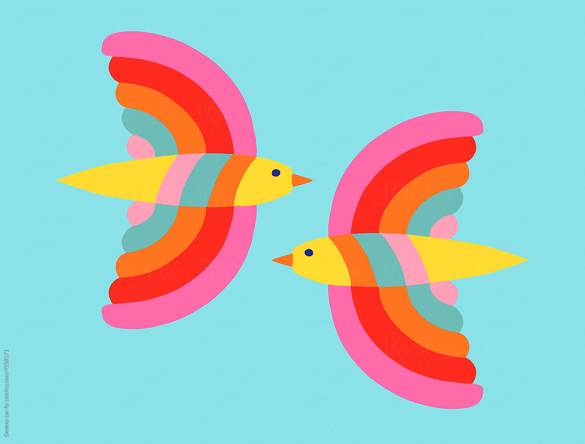 Two colorful birds in summer sky illustration