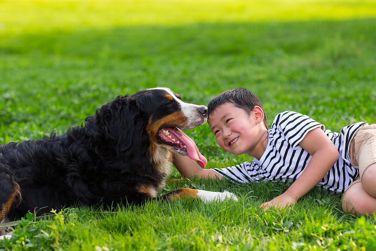 Boy with his good friend dog