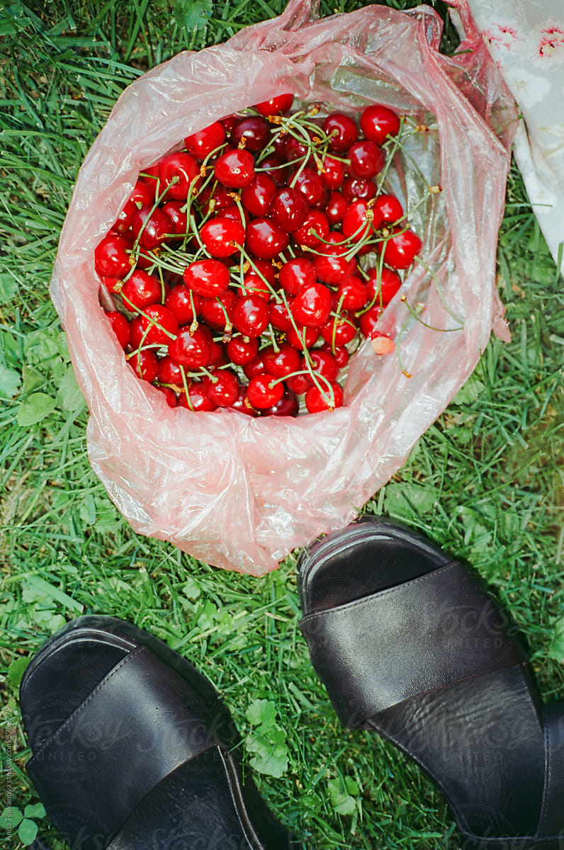 Plastic bag with cherries on the grass shot with flash
