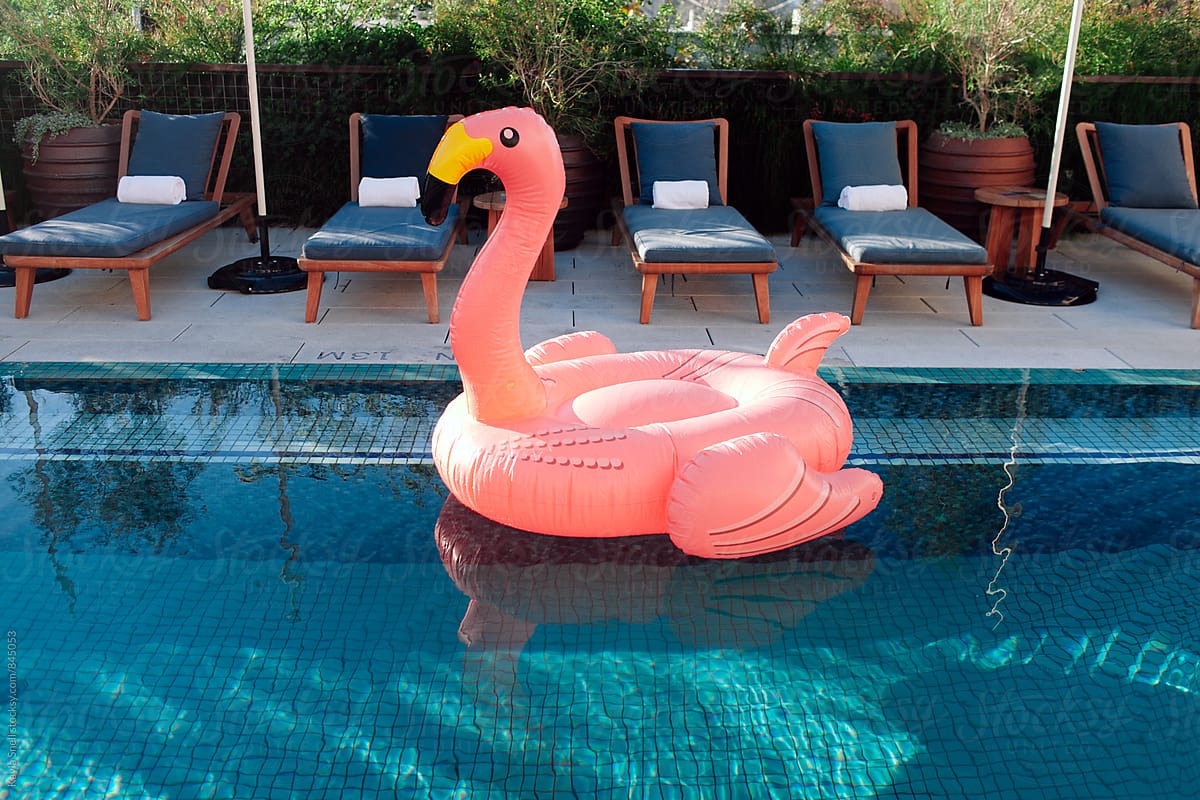 Fun flamingo pool float