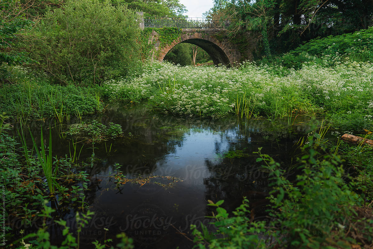 Old brick bridge over the pond